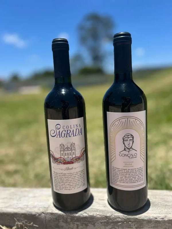 Vinhos exclusivos