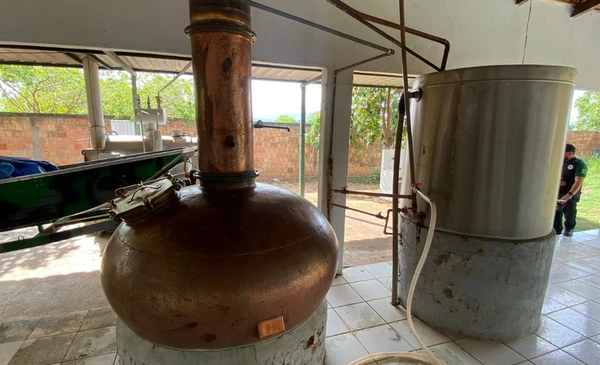 Durante a operação, duas fábricas clandestinas foram interditadas por Divulgação/Mapa