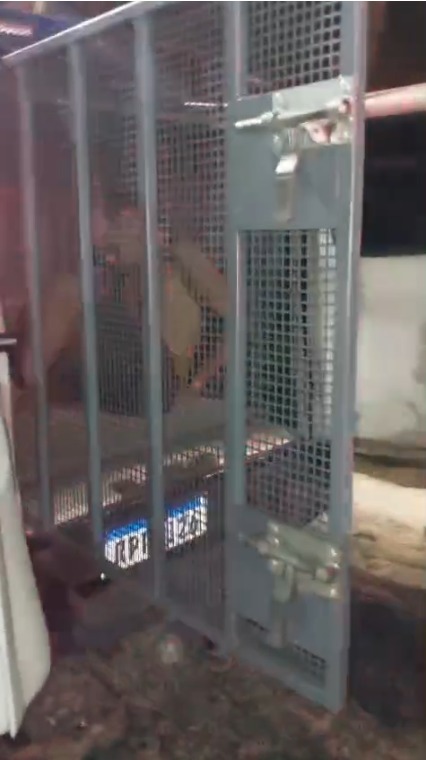 Vinícius é investigado por tráfico e por integrar o CV por Reprodução