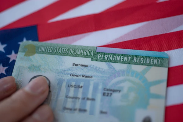 Green Card por Reprodução