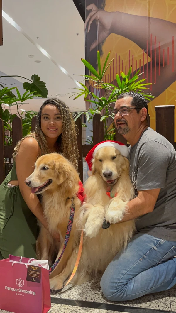 Hugo e Mike, dois cães terapeutas da raça golden retriever, são os “Cães Noel” do Parque Shopping da Bahia por Divulgação