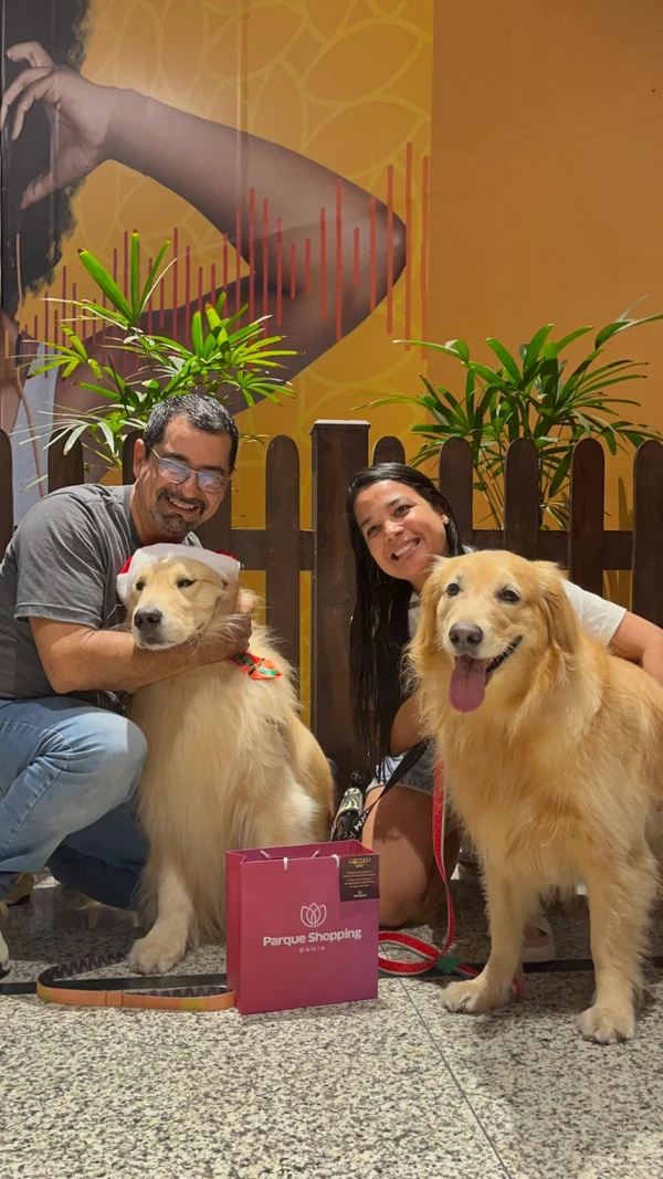 Hugo e Mike, dois cães terapeutas da raça golden retriever, são os “Cães Noel” do Parque Shopping da Bahia por Divulgação
