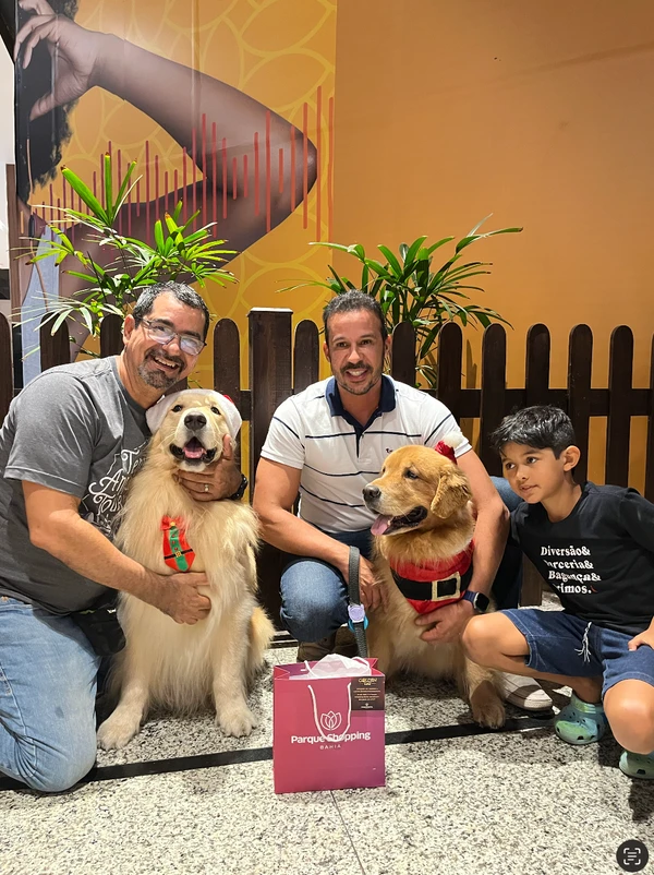 Hugo e Mike, dois cães terapeutas da raça golden retriever, são os “Cães Noel” do Parque Shopping da Bahia por Divulgação