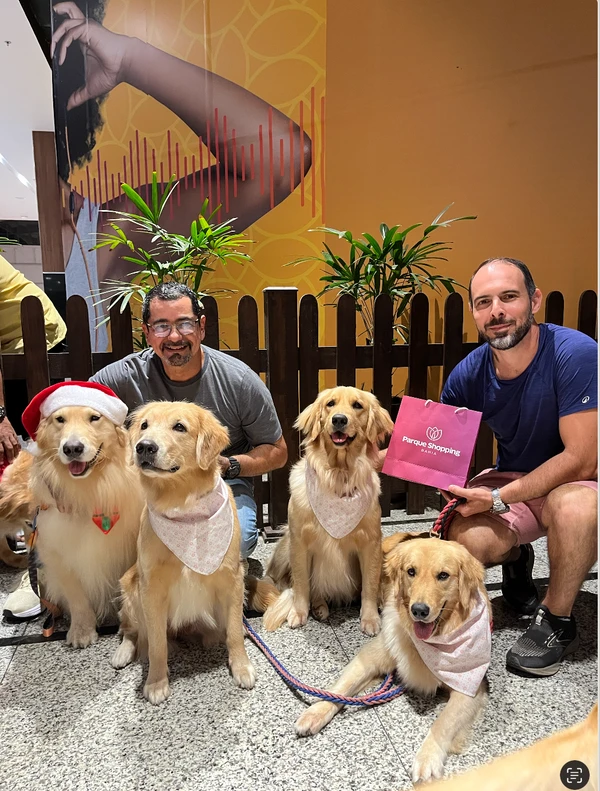Hugo e Mike, dois cães terapeutas da raça golden retriever, são os “Cães Noel” do Parque Shopping da Bahia por Divulgação