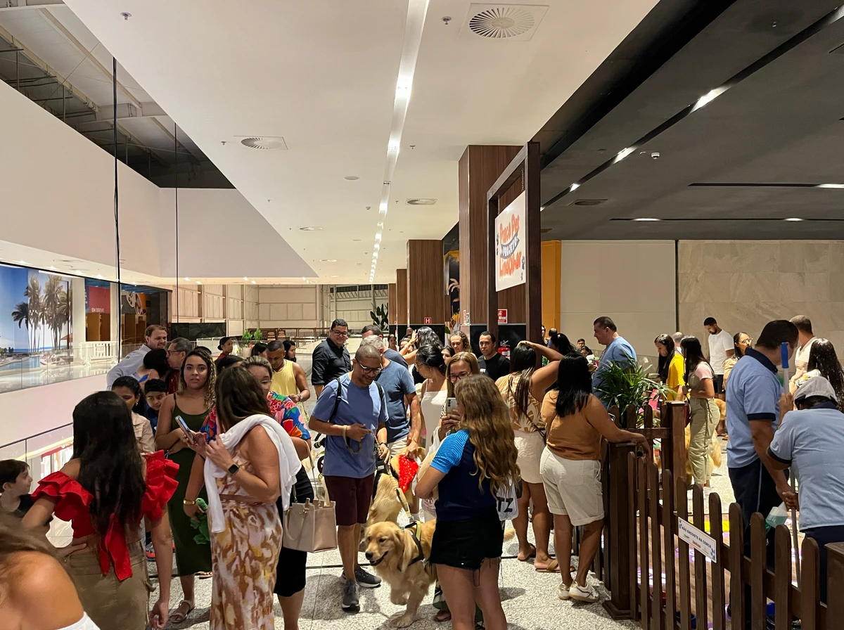 Hugo e Mike, dois cães terapeutas da raça golden retriever, são os “Cães Noel” do Parque Shopping da Bahia por Divulgação