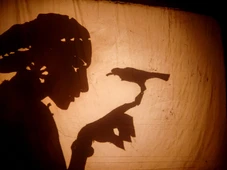 Imagem - Grupo A Roda leva poesia de Myriam Fraga para o palco