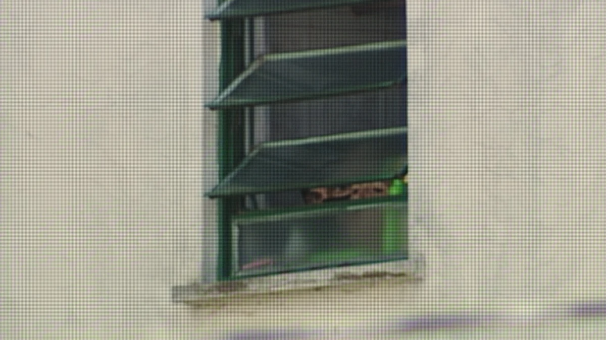 “Caso Eloá - Refém ao Vivo”  por Divulgação/Netflix