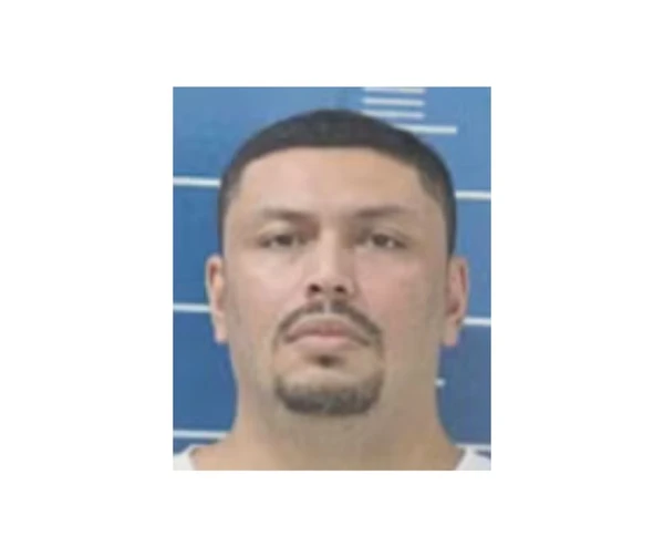 Fabrício de Melo de Jesus, o Bicinho por Reprodução