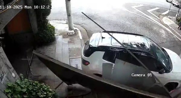 Kauane Tainá Fox derrubou portão por Reprodução