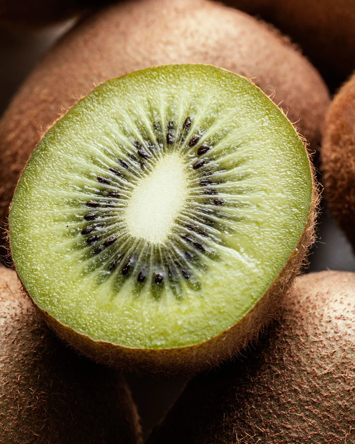 Kiwi por Reprodução (Redes Sociais/Freepik)