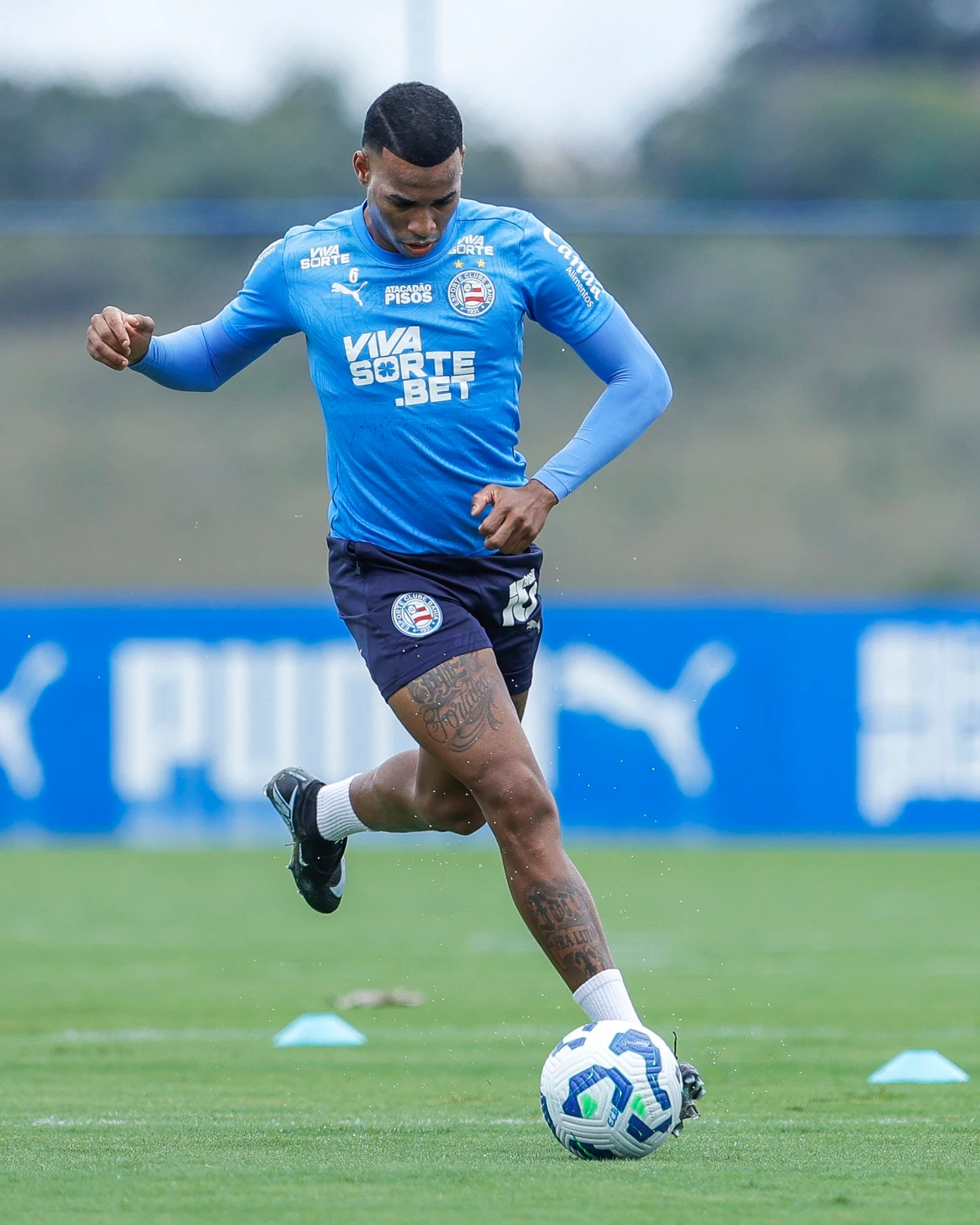 Reapresentação do Bahia na Data Fifa  por Divulgação/EC Bahia