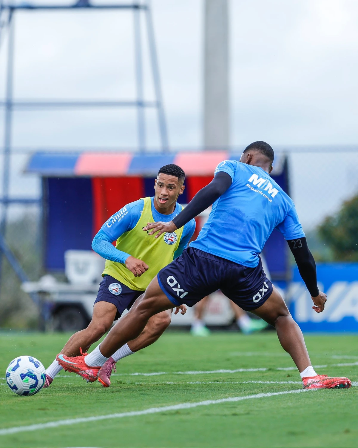 Reapresentação do Bahia na Data Fifa  por Divulgação/EC Bahia