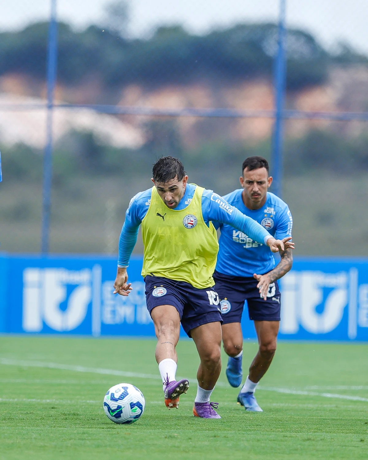 Reapresentação do Bahia na Data Fifa  por Divulgação/EC Bahia
