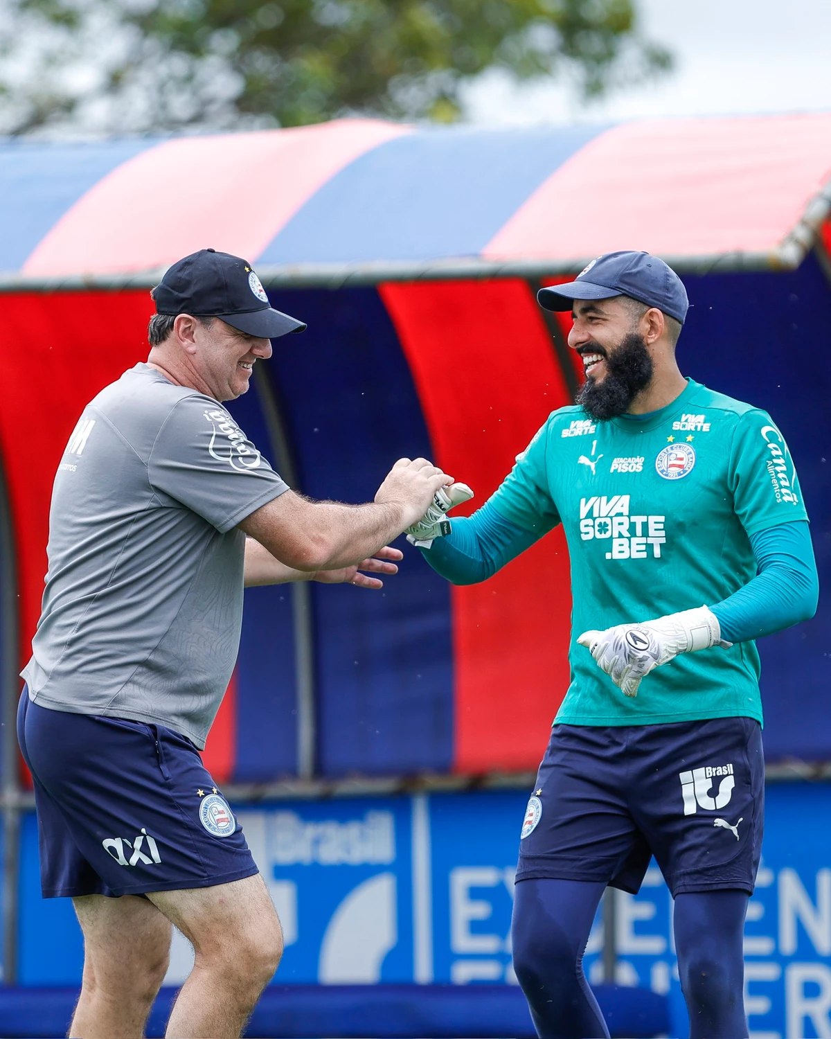Reapresentação do Bahia na Data Fifa  por Divulgação/EC Bahia