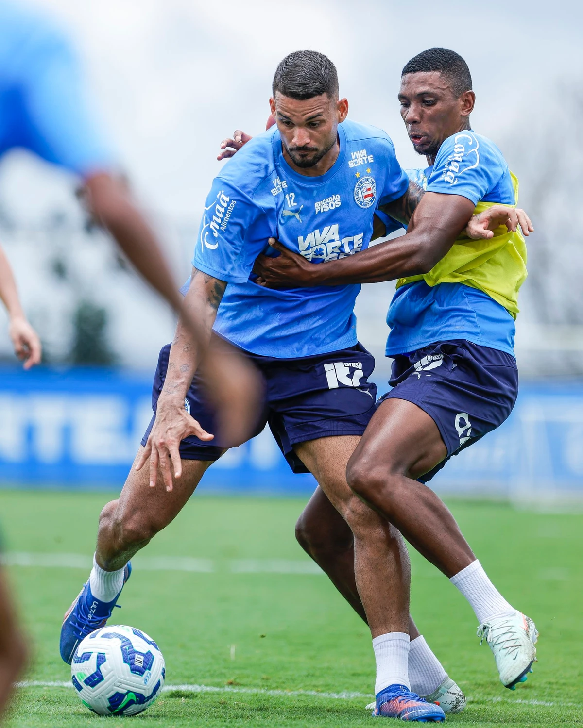 Reapresentação do Bahia na Data Fifa  por Divulgação/EC Bahia