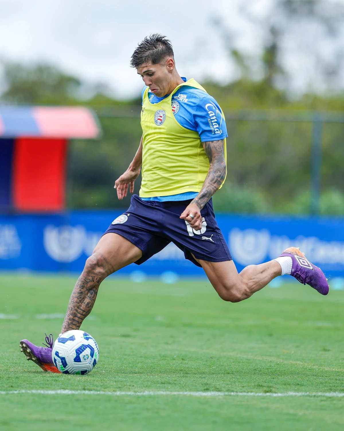 Reapresentação do Bahia na Data Fifa  por Divulgação/EC Bahia