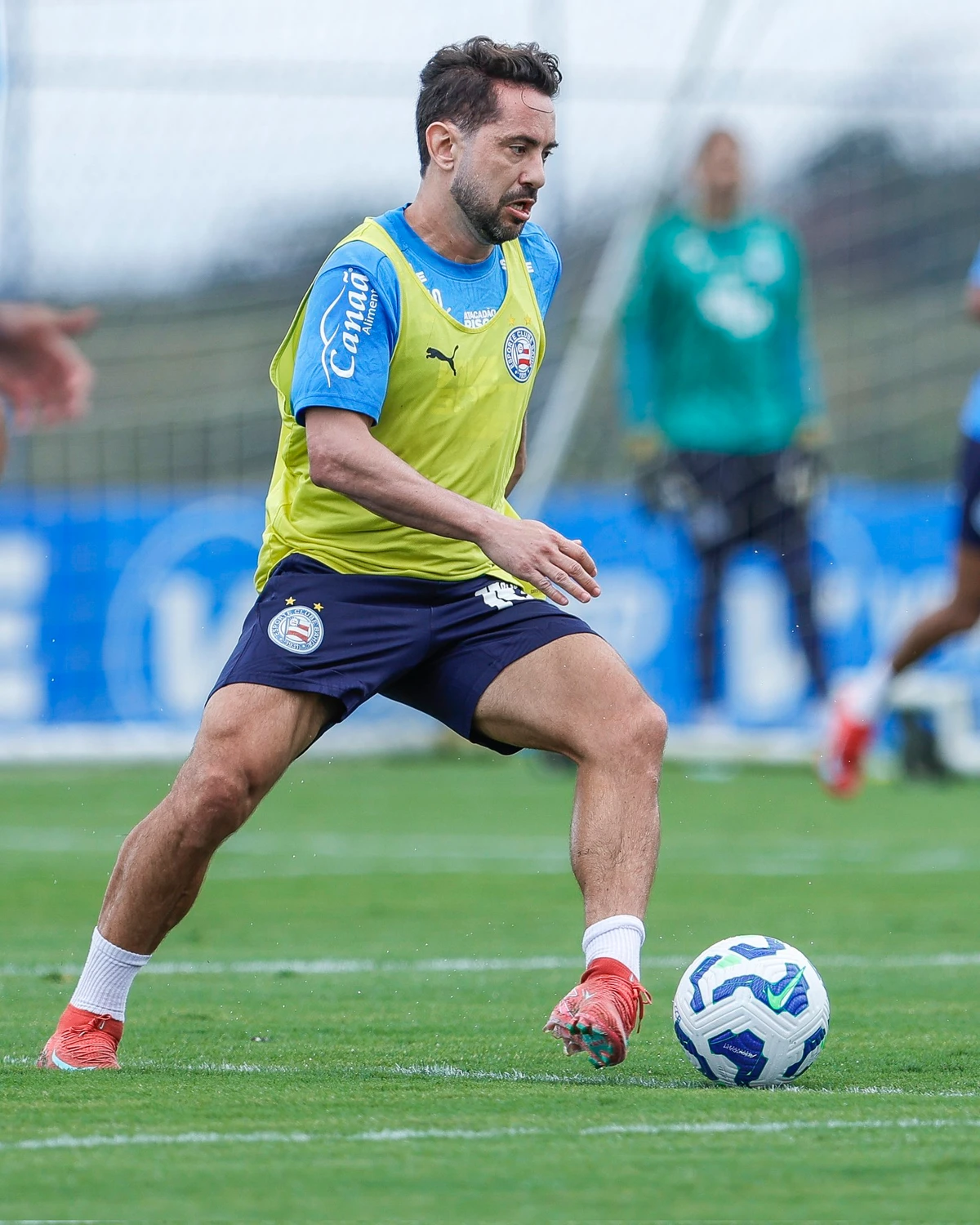 Reapresentação do Bahia na Data Fifa  por Divulgação/EC Bahia