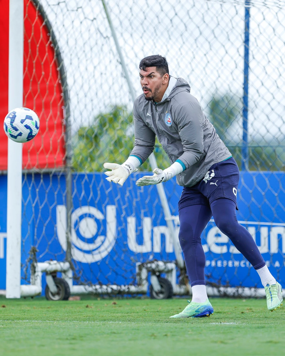 Reapresentação do Bahia na Data Fifa  por Divulgação/EC Bahia