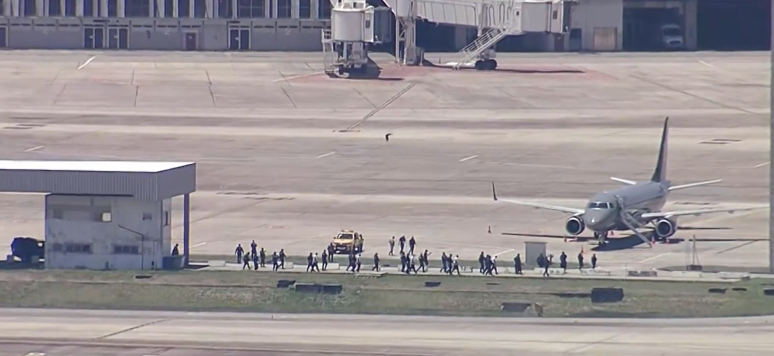 Transferência de sete chefes do CV para presídios federais por Reprodução TV Globo