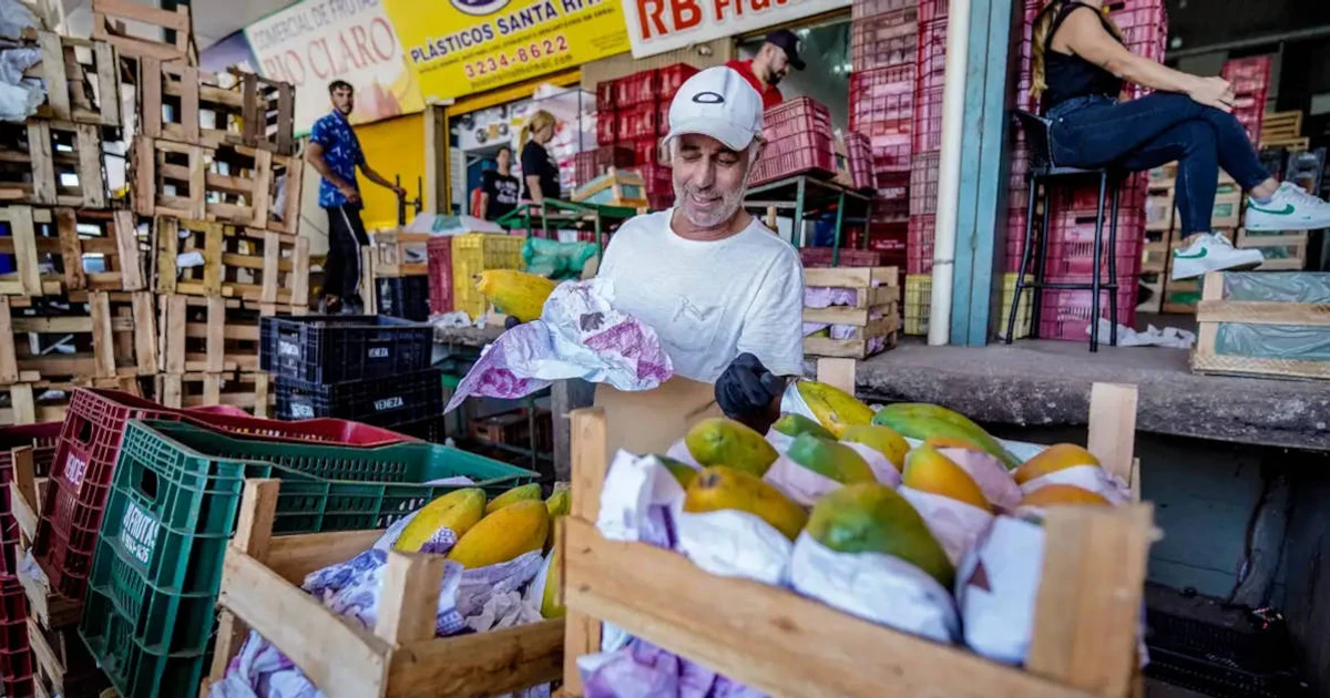 Imagem - Sete frutas que regulam o intestino e melhoram a digestão, segundo especialista