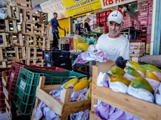 Imagem - Sete frutas que regulam o intestino e melhoram a digestão, segundo especialista
