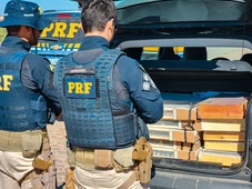 Imagem - Irmãos são detidos pela PRF com mais de 400 pássaros silvestres que saíram da Bahia