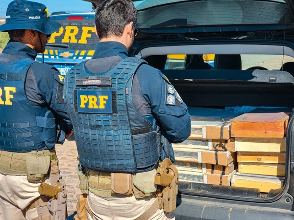 Animais morreram durante a viagem 