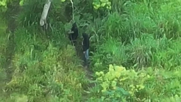 Bandidos se esconderam em mata  por Ascom-SSP