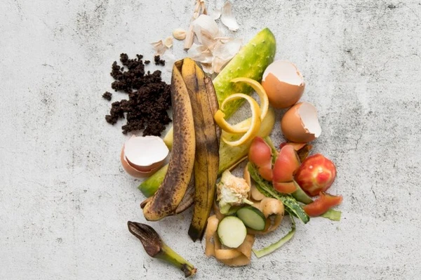 Cascas e bagaços de frutas por Reprodução