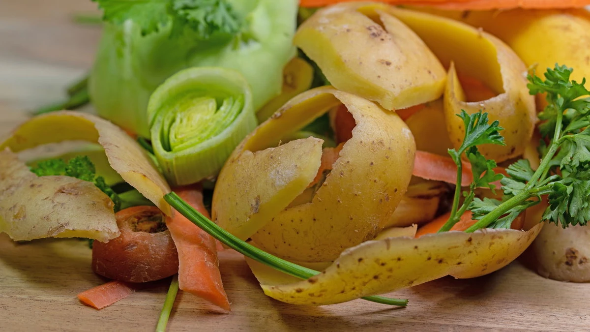 Cascas e bagaços de frutas por Reprodução