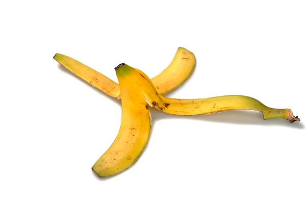 Cascas e bagaços de frutas por Reprodução