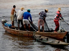 Imagem - Cerca de 400 mil pescadores vão receber seguro-defeso retroativo; veja quem tem direito