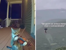 Imagem - Isso é IA? Veja como identificar se um vídeo é falso