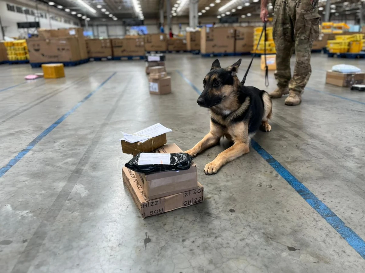 Operação Correios por Divulgação