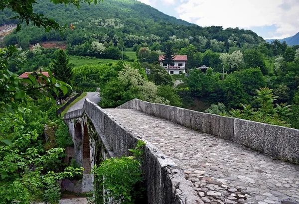 Bósnia e Herzegovina por Reprodução