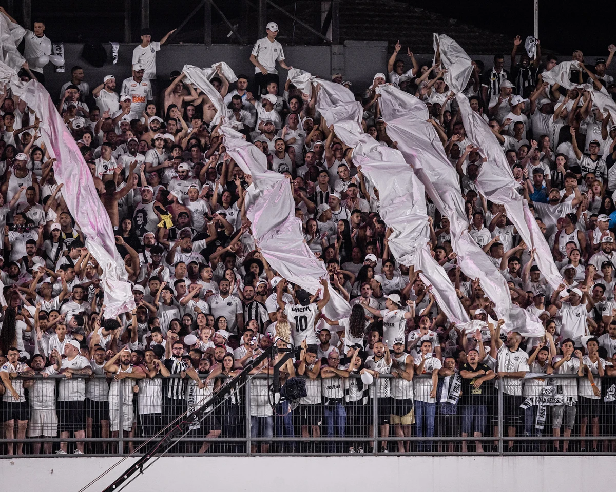 Santos vence Palmeira por 1 a 0 e sai da zona de rebaixamento por Raul Baretta/ Divulgação Santos FC