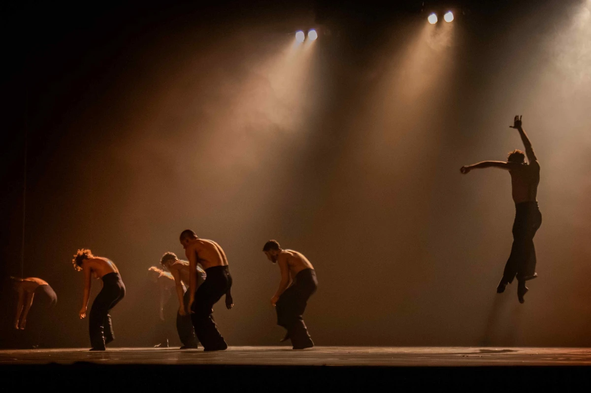 Still Reich (fragmentos) por Ananda Eluf