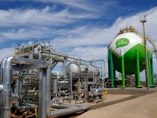 Imagem - Parceria coloca no mercado cera de origem renovável