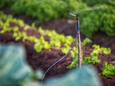 Imagem - Prévia do PIB cai 0,9% e expõe desaceleração da economia, que aproxima inflação da meta