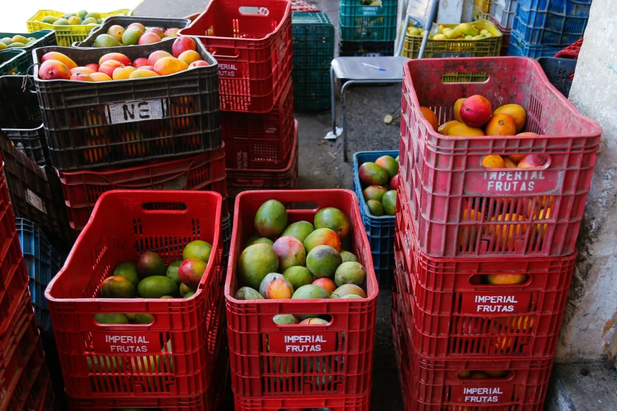 Venda de manga na Feira de São Joaquim por Arison Marinho