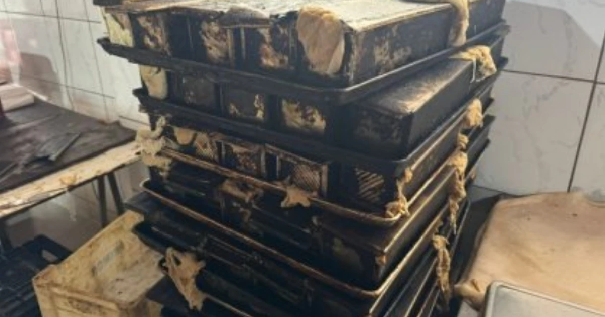 Imagem - Vigilância Sanitária apreende 8 toneladas de alimentos impróprios e interdita padaria na Bahia