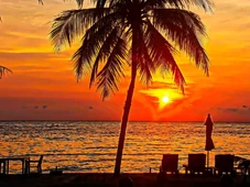 Imagem - Esqueça o verde e o azul: a cor do verão 2026 veio para surpreender