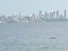 Imagem - Corpo é encontrado boiando em praia de Salvador