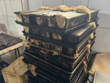 Imagem - Vigilância Sanitária apreende 8 toneladas de alimentos impróprios e interdita padaria na Bahia