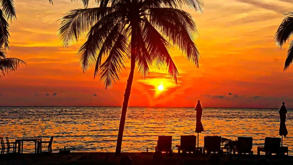 A cor traz alegria, frescor e vibração