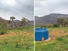 Imagem - Chapada Diamantina: incêndio no Parque Nacional é controlado após mais de 24h