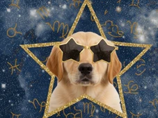 Imagem - O sucesso finalmente chega para esses 3 signos nesta quinta-feira (20 de novembro)