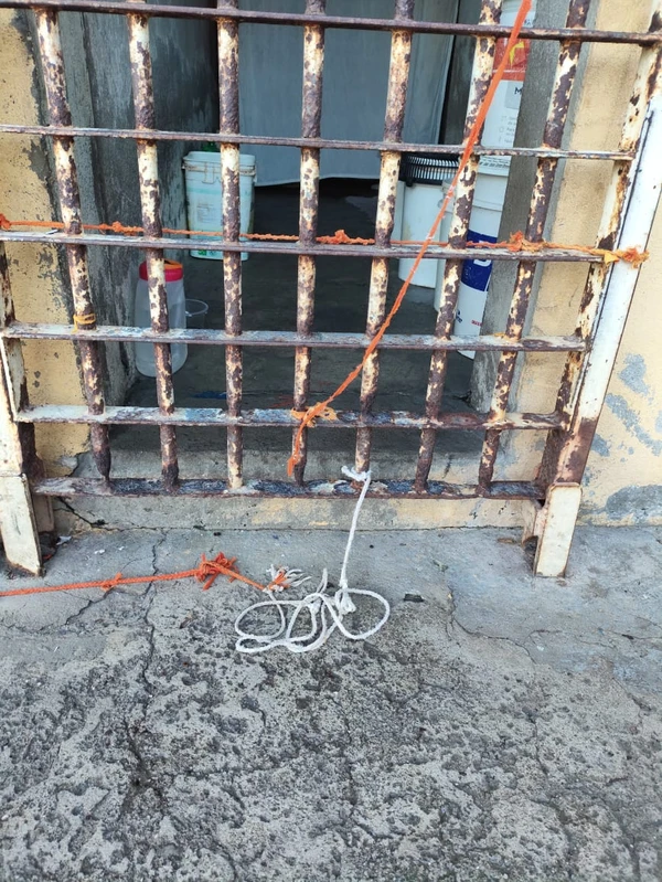 Celas apresentam ferrugem aparente por Arquivo pessoal