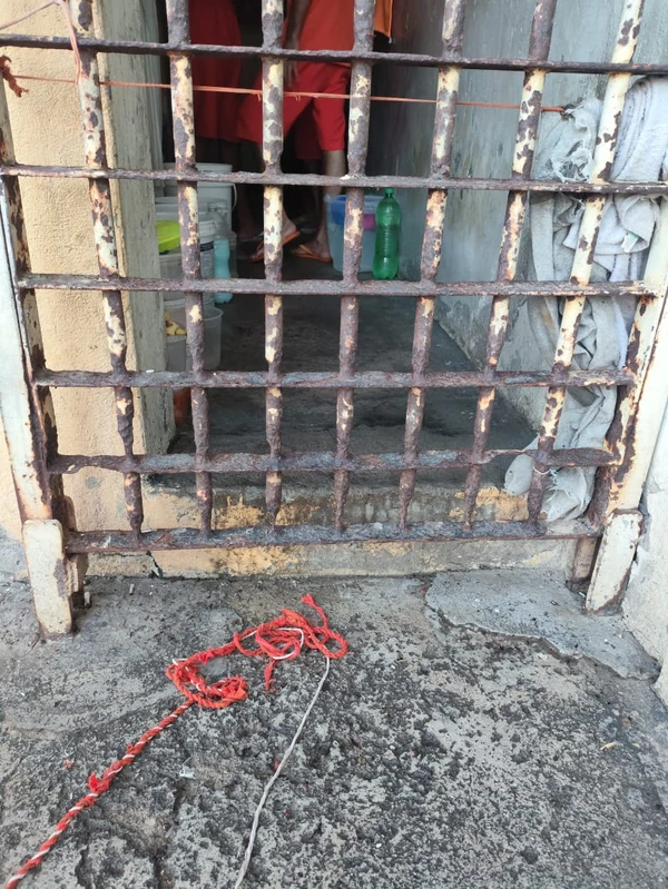 Celas apresentam ferrugem aparente por Arquivo pessoal