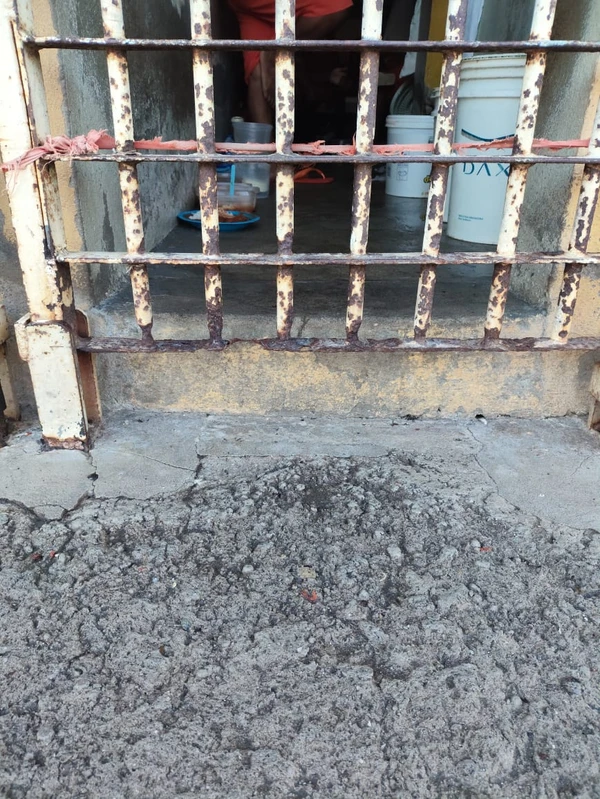 Celas apresentam ferrugem aparente por Arquivo pessoal